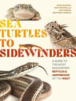 Sea Turtles to Sidewinders