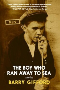 Boy Who Ran Away to Sea