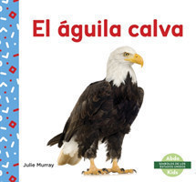 El águila calva (Bald Eagle)