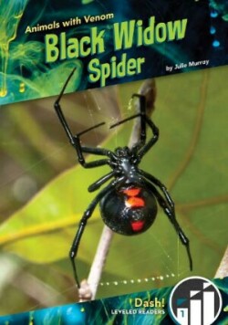 Black Widow Spider