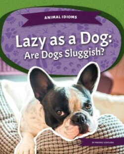 Animal Idioms: Lazy as a Dog: Are Dogs Sluggish?