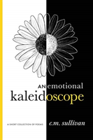 emotional kaleidoscope