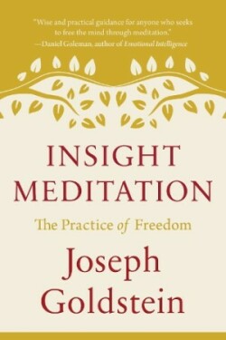 Insight Meditation