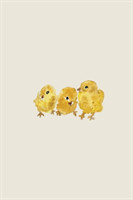 Three Baby Chicks - A Poetose Notebook (50 pages/25 sheets)