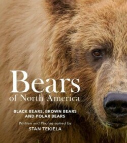 Bears of North America