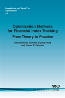 Optimization Methods for Financial Index Tracking