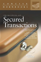 Principles of Secured Transactions