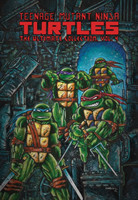 Teenage Mutant Ninja Turtles: The Ultimate Collection, Vol. 4