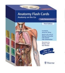 Thieme Anatomy Flash Cards (Latin Nomenclature), 3rd Ed.