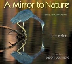 Mirror to Nature, A