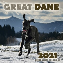 Great Dane 2021 Mini Wall Calendar