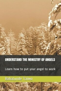 Understand the Ministry of Angels