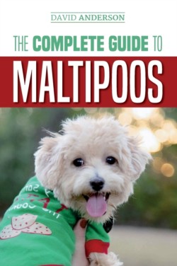 Complete Guide to Maltipoos