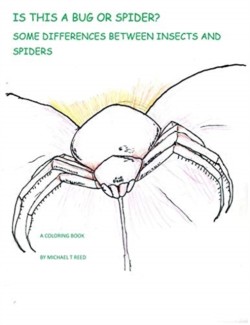 Is this a Bug or Spider?