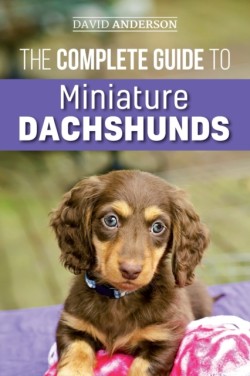 Complete Guide to Miniature Dachshunds