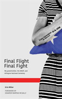 Final Flight Final Fight