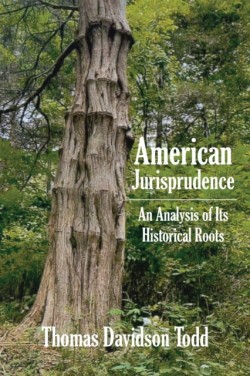 American Jurisprudence