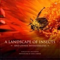 landscape of insects and other invertebrates 