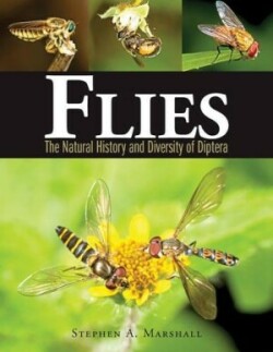 Flies : Natural History and Diversity of Diptera