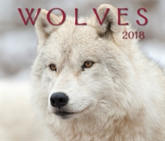 Wolves 2018