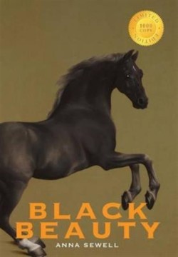 Black Beauty (1000 Copy Limited Edition)