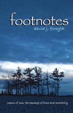 Footnotes