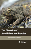 Diversity of Amphibians and Reptiles