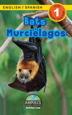 Bats / Murciélagos