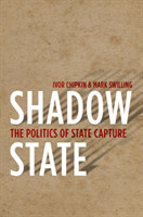 Shadow State