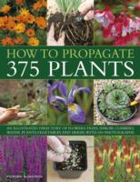 How to Propagate 375 Plants