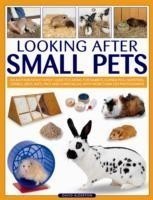 Looking After Small Pets