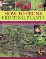 How to Prune Fruiting Plants