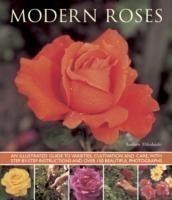 Modern Roses