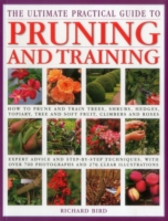 Ultimate Practical Guide to Pruning and Training