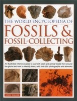 World Encyclopedia of Fossils & Fossil-collecting