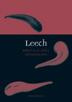 Leech