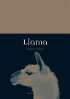 Llama