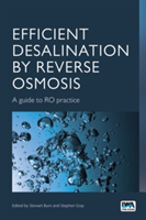 Efficient Desalination by Reverse Osmosis