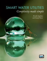 Smart Water Utilities