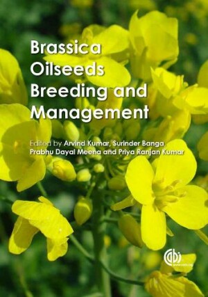 Brassica Oilseeds