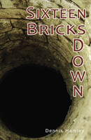 Sixteen Bricks Down