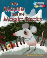 Mouse and the Magic Socks