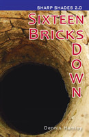 Sixteen Bricks Down  (Sharp Shades)
