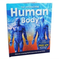 Human Body