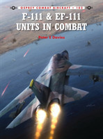 COMBAT AIRCRAFT 102