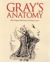 Grays Anatomy