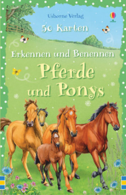 Erkennen und Benennen: Pferde und Ponys