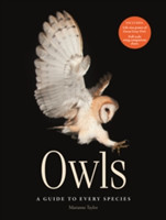 Owls A guide to every species