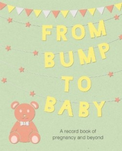 From Bump to Baby A Record Book of Pregnancy and Beyond