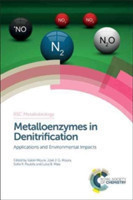Metalloenzymes in Denitrification